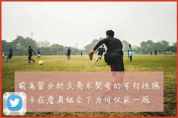 前高管分析交易东契奇的可行性佩林卡在詹眉组合下为何仅获一冠