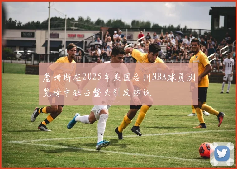 詹姆斯在2025年美国各州NBA球员浏览榜中独占鳌头引发热议