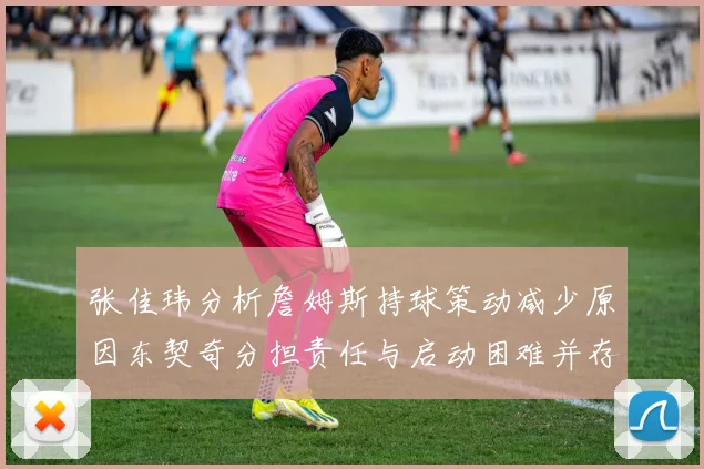 张佳玮分析詹姆斯持球策动减少原因东契奇分担责任与启动困难并存