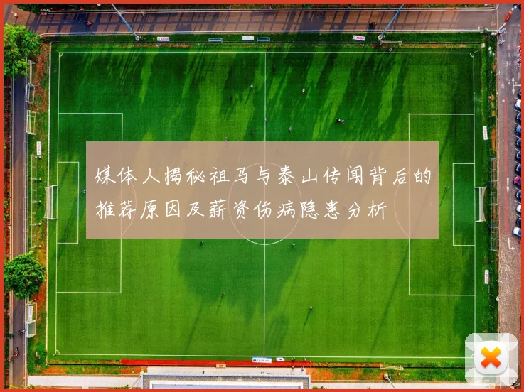 媒体人揭秘祖马与泰山传闻背后的推荐原因及薪资伤病隐患分析