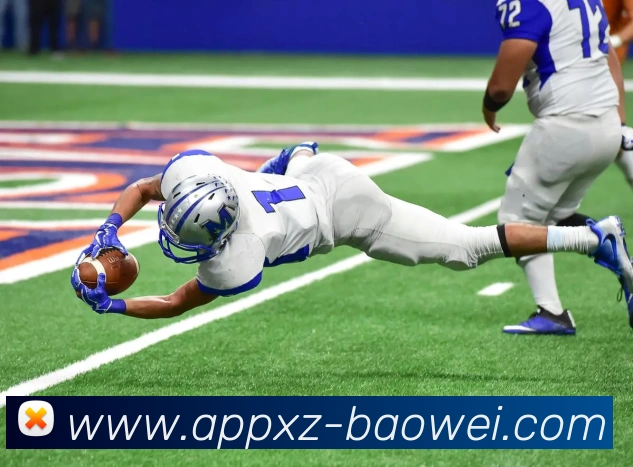 宝威体育APP 封面图